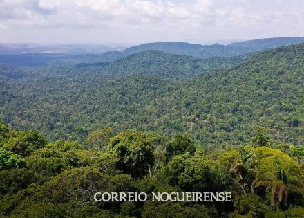 amazonia-reducao-da-pobreza-e-do-desmatamento-podem-coexistir-correio-nogueirense