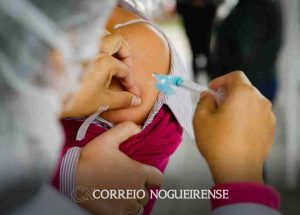 anvisa-autoriza-pesquisa-com-vacina-tetravalente-para-influenza-correio-nogueirense