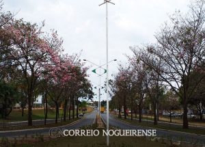 com-chuvas-mais-escassas-outono-comeca-hoje-correio-nogueirense