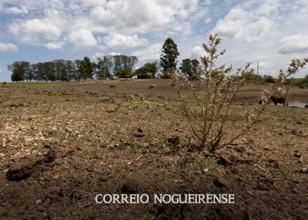 geral-com-seca-12-cidades-gauchas-vao-receber-socorro-de-r-22-milhoes-correio-nogueirense