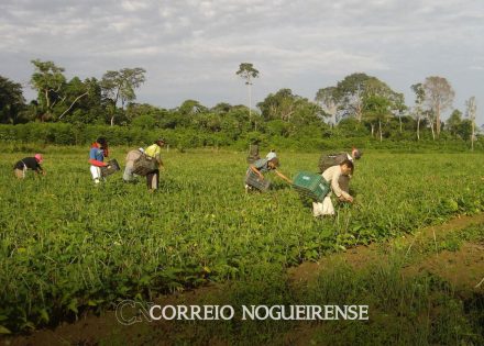 governo-federal-relanca-programa-de-aquisicao-de-alimentos-correio-nogueirense
