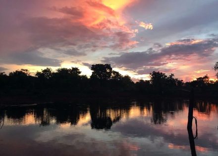 Nascer do Sol no Cerrado