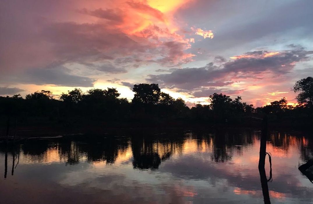 Nascer do Sol no Cerrado