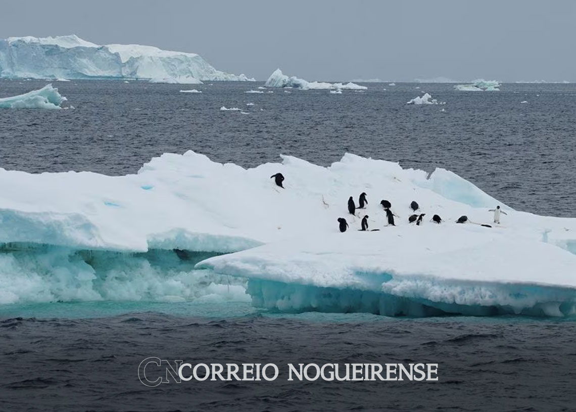 o-aumento-do-derretimento-do-gelo-antartico-diminuira-drasticamente-os-fluxos-oceanicos-globais-segundo-estudo-correio-nogueirense