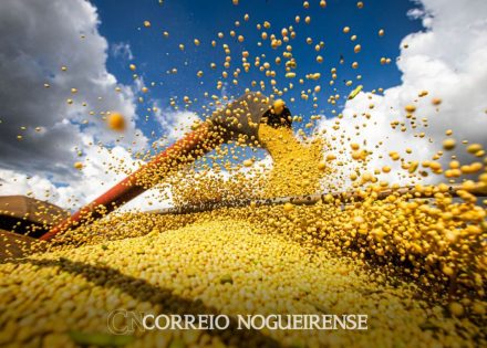 png_20230309_103939_0000