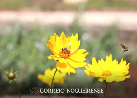 png_20230320_235247_0000