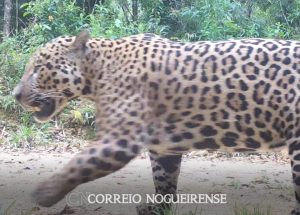 png_20230320_235744_0000