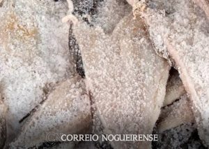 png_20230331_093010_0000