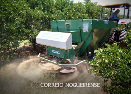 prefeitura-abre-calagem-de-outono-2023-com-dia-de-campo-entre-agricultores-nogueirenses-correio-nogueirense