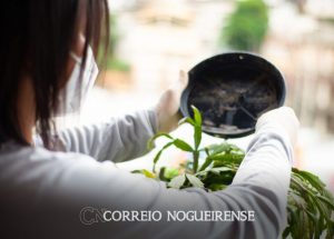 vigilancia-lanca-campanha-marco-sem-dengue-em-artur-nogueira-correio-nogueirense