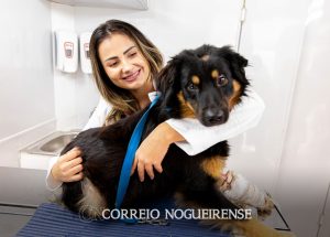 bem-estar-animal-de-artur-nogueira-realiza-mais-de-450-atendimentos-em-90-dias-correio-nogueirense