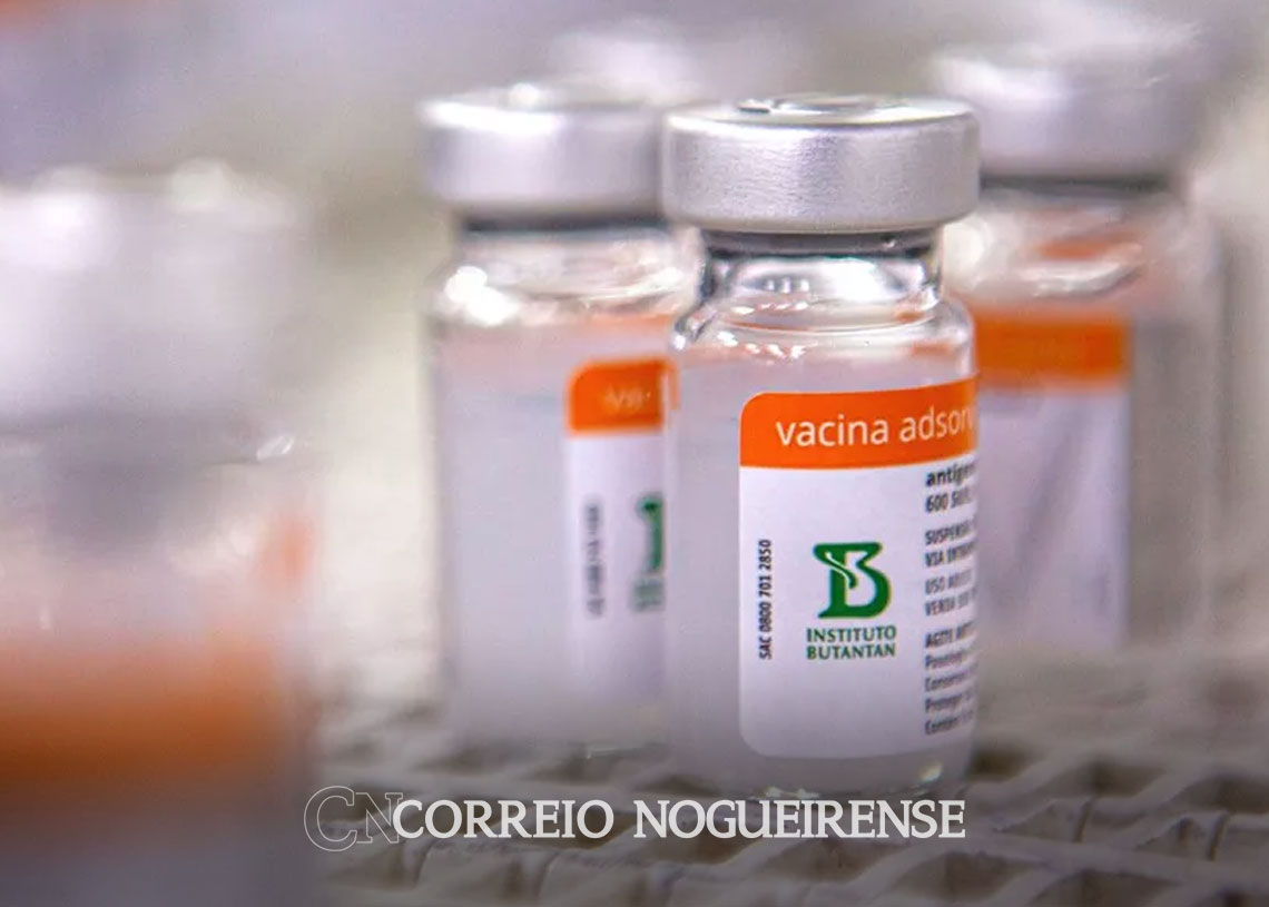 bolivia-colombia-e-cuba-recebem-vacinas-do-butantan-pela-primeira-vez-correio-nogueirense