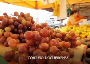 feira-livre-do-jardim-carolina-em-artur-nogueira-tera-mudanca-em-virtude-do-feriado-da-sexta-feira-santa-correio-nogueirense