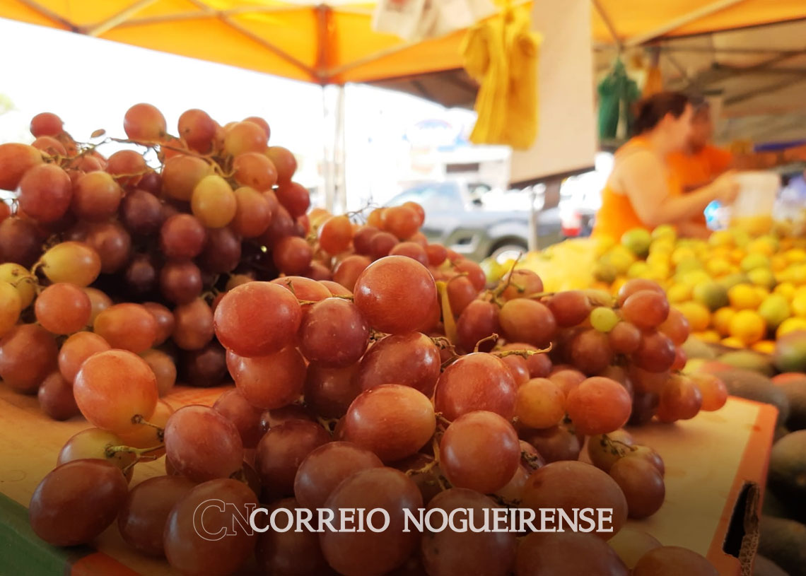 Feira Livre Do Jardim Carolina Em Artur Nogueira Ter Mudan A Em Virtude Do Feriado Da Sexta