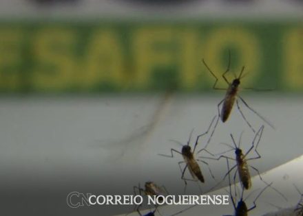 png_20230404_090547_0000