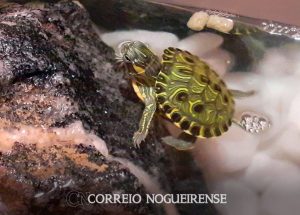 png_20230404_091823_0000