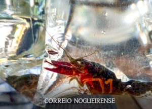 png_20230405_102550_0000