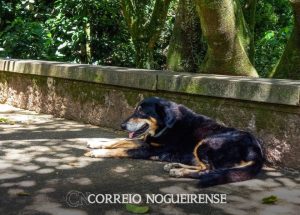 png_20230405_114647_0000