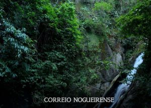 png_20230405_121005_0000