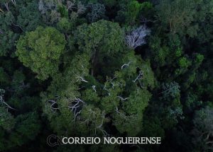 png_20230412_080849_0000