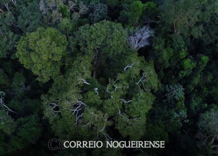 png_20230412_080849_0000