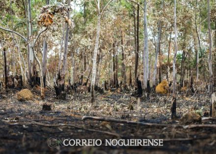 png_20230427_204740_0000