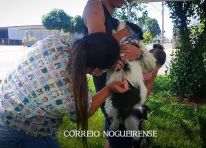 ponto-de-vacina-contra-raiva-estara-no-bairro-laranjeiras-nesta-quinta-correio-nogueirense