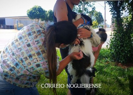 ponto-de-vacina-contra-raiva-estara-no-bairro-laranjeiras-nesta-quinta-correio-nogueirense