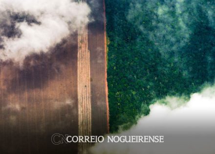banco-mundial-alerta-para-dano-permanente-do-desmatamento-na-amazonia-correio-nogueirense