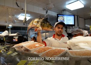 peixes-em-seis-estados-da-amazonia-tem-contaminacao-por-mercurio-correio-nogueirense