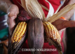 png_20230512_091107_0000