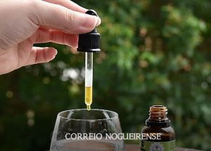 propolis-melhora-imunidade-e-ameniza-inflamacao-em-pessoas-com-hiv-correio-nogueirense