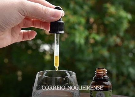 propolis-melhora-imunidade-e-ameniza-inflamacao-em-pessoas-com-hiv-correio-nogueirense