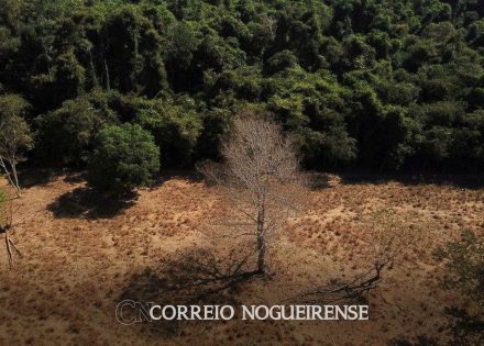 sem-cerrado-faltara-agua-no-brasil-alertam-especialistas-correio-nogueirense