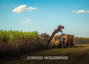 agronegocio-no-estado-de-sp-registra-us-8-bilhoes-de-superavit-em-cinco-meses-correio-nogueirense