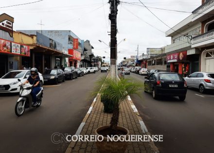 dia-dos-namorados-pesquisa-mostra-como-tributos-encarecem-presentes-correio-nogueirense