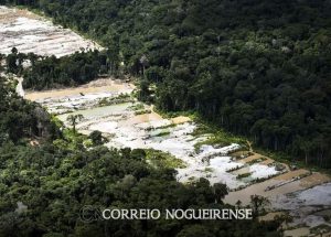 forca-tarefa-destroi-dez-garimpos-ilegais-na-amazonia-correio-nogueirense