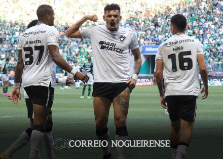 mais-lider-do-que-nunca-botafogo-abre-7-pontos-no-topo-do-brasileirao-correio-nogueirense