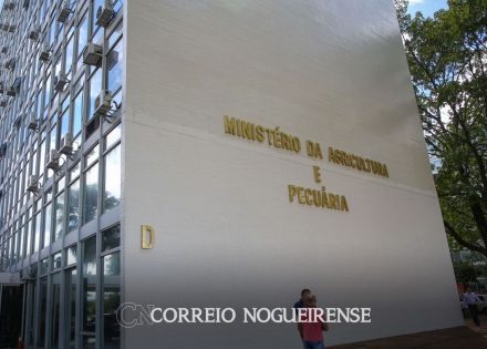 minas-gerais-registra-primeiro-caso-de-gripe-aviaria-em-pato-correio-nogueirense