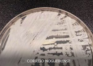 png_20230609_091239_0000