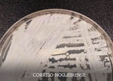 png_20230609_091239_0000