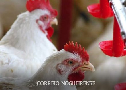 png_20230613_075016_0000