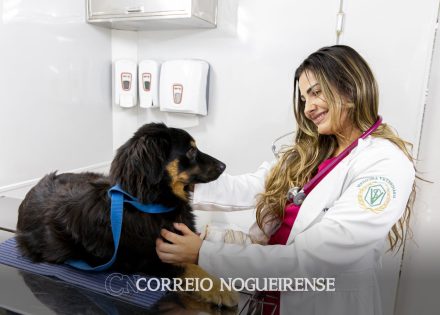 prefeitura-oferece-atendimento-veterinario-e-triagem-para-castracao-na-feira-livre-de-domingo-correio-nogueirense