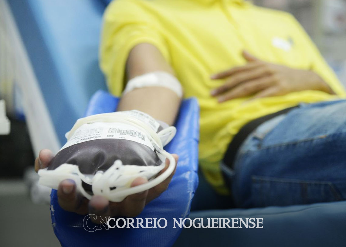 quatorze-em-cada-mil-brasileiros-sao-doadores-regulares-de-sangue-correio-nogueirense