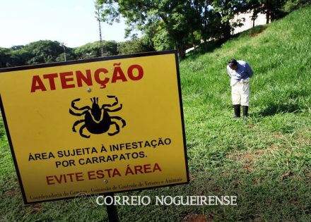 saiba-como-evitar-contato-com-o-carrapato-que-causa-a-febre-maculosa-correio-nogueirense