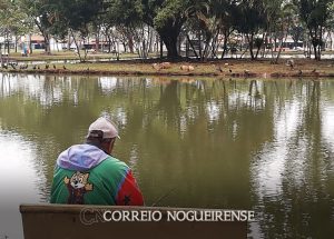 vereadores-da-camara-municipal-de-artur-nogueira-solicitam-retirada-das-capivaras-da-area-urbana-do-municipio-correio-nogueirense1