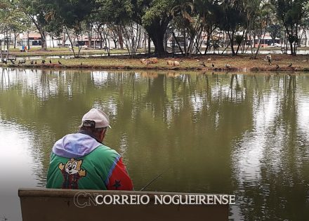 vereadores-da-camara-municipal-de-artur-nogueira-solicitam-retirada-das-capivaras-da-area-urbana-do-municipio-correio-nogueirense1
