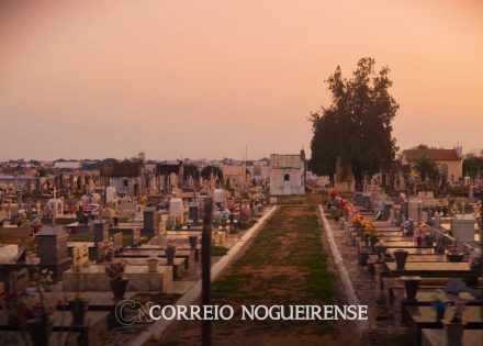 ze-da-eletrica-solicita-asfaltamento-ou-colocacao-de-raspas-de-asfalto-nas-ruas-internas-do-cemiterio-municipal-correio-nogueirense