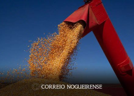 apexbrasil-lanca-projeto-para-promover-exportacoes-de-farelo-de-milho-correio-nogueirense