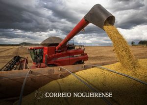 conab-estima-safra-recorde-de-3176-milhoes-de-toneladas-em-2023-correio-nogueirense